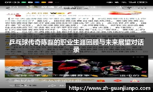 乒乓球传奇陈磊的职业生涯回顾与未来展望对话录